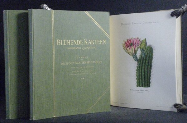 Blühende Kakteen Iconographia catacearum