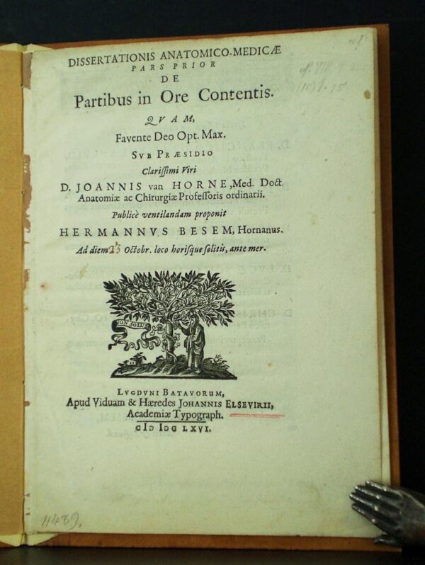 Besem, Hermannus: Dissertationis anatomico-medicæ pars prior de partibus in ore contentis. Resp. Joannis van Horne (1666)