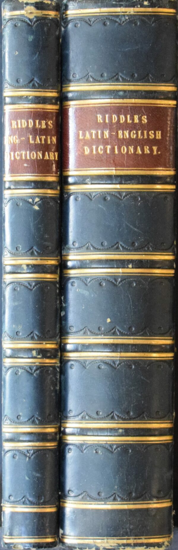 J. E. Riddlle A Complete Latin-English Dictionary for the Use of Colleges and Schools