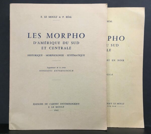 Les Morpho D’amerique du Sud et Centrale