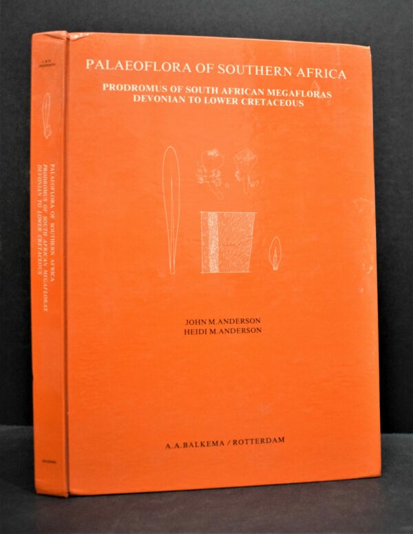 Palaeoflora of Southern Africa