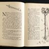 TOVE JANSSON Kometjakten (1st edition)