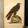 Tidskrift för jägare och fiskare 1893-94