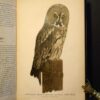 Tidskrift för jägare och fiskare 1894